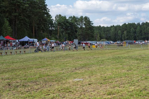 Trawiasty plac wystawy koni z publicznością w tle.