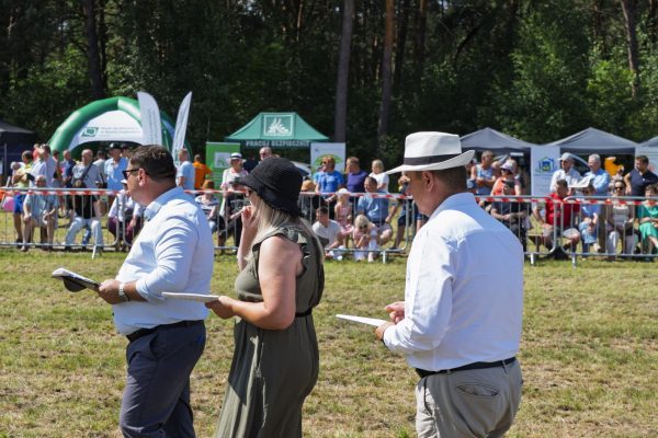 Koń prezentowany przez opiekuna na trawiastym placu Wojewódzkiej Wystawy Koni.