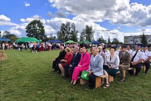 Publiczność siedząca przed plenerową sceną dożynek.