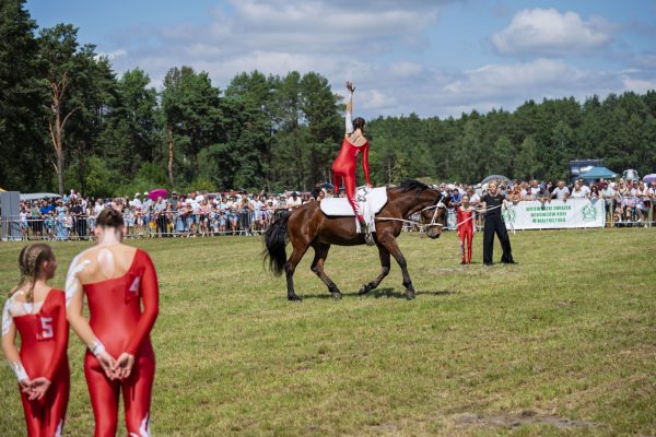 Pokaz akrobatyczny przy koniu na trawiastym placu wystawy.