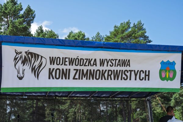 Scena z banerem Wojewódzkiej Wystawy Koni Zimnokrwistych i stołem nagród.
