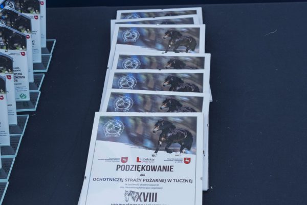 Puchary, statuetki i tabliczki przygotowane dla uczestników wystawy koni.