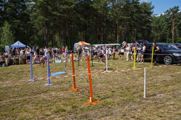 Dzieci pokonujące niskie przeszkody na trawiastym placu wystawy koni.