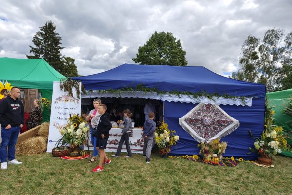 Uczestnicy dożynek przy stoisku z potrawami i dekoracjami z plonów.
