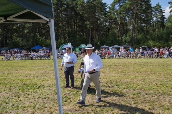 Koń prezentowany przez opiekuna na trawiastym placu Wojewódzkiej Wystawy Koni.